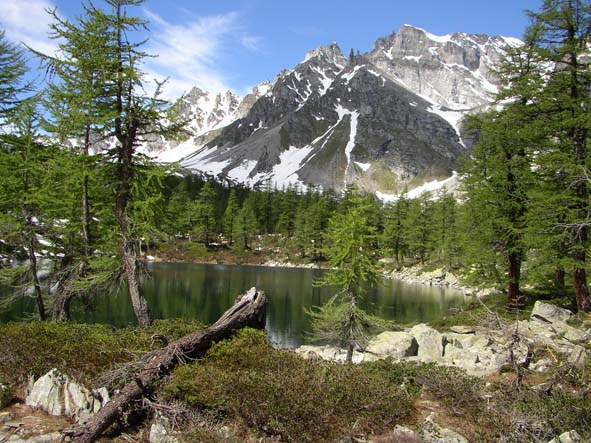 Il Lago Nero e Buscagna - Escursione alla foresta di larici dell’Alpe Devero - Valle Antigorio, Baceno