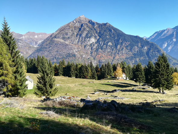 Panorama dall'Alpe Compolo - Valle Antigorio, Baceno